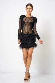 Black Embellished Feather Mini Bodycon Dress
